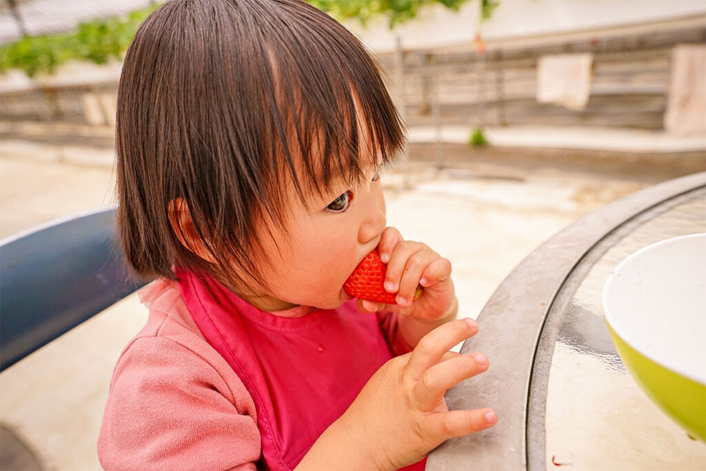 いちごをたべる幼児